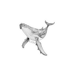 Humpback Line Art Sticker